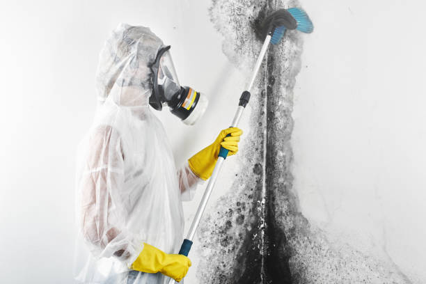 Best Post-Remediation Verification Testing  in Pelzer, SC