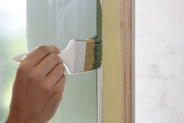 Professional Mold Removal in Pelzer, SC