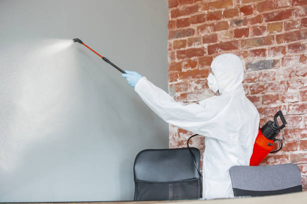 Best Commercial Mold Inspection  in Pelzer, SC