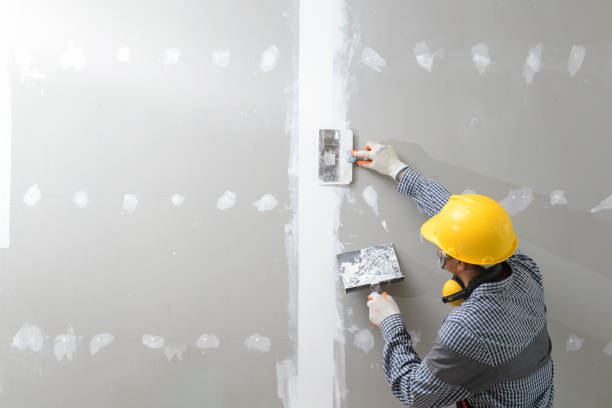 Best Industrial Mold Remediation  in Pelzer, SC