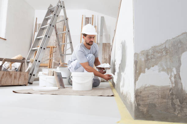 Mold Odor Removal Services in Pelzer, SC