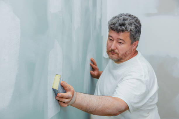 Best Residential Mold Inspection & Testing  in Pelzer, SC